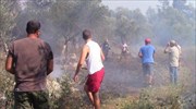 Κέρκυρα: Μεγάλη φωτιά στα νότια - Εκκενώνονται δύο χωριά