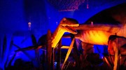 Δεινόσαυροι και τέρατα των θαλασσών στο Κέντρο Πολιτισμού «Ελληνικός Κόσμος»
