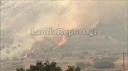 Σε ύφεση οι πυρκαγιές σε Αρτέμιδα και Δελφούς
