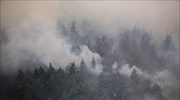 Έως 31/10 οι ενστάσεις για τους δασικούς χάρτες στις περιοχές που επλήγησαν από πυρκαγιές