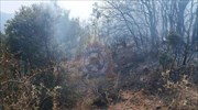 Πυρκαγιές σε Αρκαδία, Κιλκίς, Θεσπρωτία - Αυξημένος κίνδυνος και την Παρασκευή