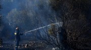 Πυροσβεστική: Υπό μερικό έλεγχο πυρκαγιά στα όρια Φιλοθέης - Γαλατσίου