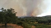 Υπό μερικό έλεγχο η πυρκαγιά στο Κλήμα Φωκίδας