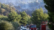 Ενισχύονται οι δυνάμεις πυρόσβεσης στη Νέα Μάκρη