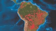 Αμαζόνιος: Η αποψίλωσή του διπλασιάστηκε σε έναν χρόνο