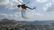 Υπό μερικό έλεγχο η πυρκαγιά στο Λαγονήσι