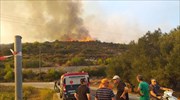 Ζάκυνθος: Συνεχίζεται η μάχη με τις φλόγες - Καλύτερη η εικόνα