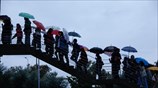 Χρωματιστές ομπρέλες στην Θεσσαλονίκη