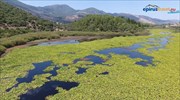 Η λίμνη Καλοδίκη της Πάργας - Πώς είναι την άνοιξη και πώς το φθινόπωρο