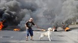 Διαδηλωτής κρατάει το σκυλί του