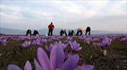 Ενισχύσεις και αποζημιώσεις 3,2 εκατ. ευρώ από τον ΕΛΓΑ