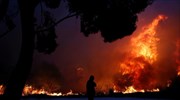 Υπό μερικό έλεγχο η πυρκαγιά στο Πόρτο Ράφτη