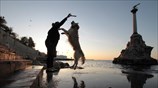 Γυναίκα παίζει με τον σκύλο