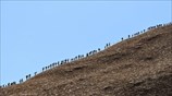 Ανεβαίνοντας το Uluru