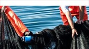 Κομισιόν: «Πράσινο φως» στην εξαγορά του Νηρέα και της Σελόντα από τον Όμιλο Andromeda Seafood