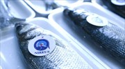 Ομολογιακά δάνεια 237 εκατ. της Νηρεύς