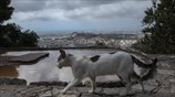 Σήμερα η τηλεόραση προέβλεψε ανέμους ασθενείς