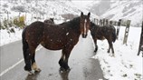 Τα πρώτα χιόνια στην Ισπανία