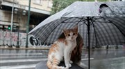 Συννεφιά, βροχές και καταιγίδες σήμερα