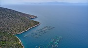 Στο 50% η κάλυψη  της δημόσιας δαπάνης σε υδατοκαλλιέργειες