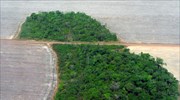 Αμαζόνιος: Έχασε 9.762 τετραγωνικά χλμ βλάστησης σε ένα χρόνο