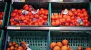 Αύξηση 39% των ελληνικών εξαγωγών στην Αίγυπτο το 2018