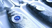 Nηρεύς: Στην Andromeda Seafood το 74,34%