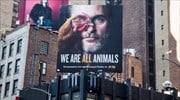 Χοακίν Φίνιξ: Ο ηθοποιός ανακηρύχθηκε «Πρόσωπο του 2019» από την PETA