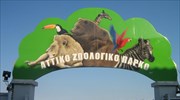 Αττικό Πάρκο Α.Ε.: Επενδύσεις 13,5 εκατ. ευρώ