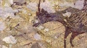 Η αρχαιότερη βραχογραφία, με σκηνή κυνηγιού, ανακαλύφθηκε σε σπήλαιο της Ινδονησίας