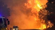 Αυστραλία: Καταστροφικές πυρκαγιές εν μέσω νέου κύματος καύσωνα