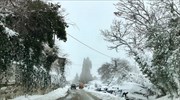 Τοπικές βροχές και χιόνια στη Στερεά Ελλάδα