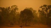 Αυστραλία: Ανεξέλεγκτες πυρκαγιές στα νοτιοδυτικά, κυκλώνας στα βορειοδυτικά