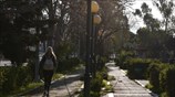 Ηλιόλουστη μέρα στο δάσος Χαϊδαρίου