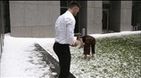 Αυστραλία: Μετά τις πυρκαγιές, σφοδρές χαλαζοπτώσεις και αμμοθύελλα