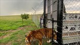 Καινούργια ζωή στη Νότια Αφρική