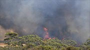 Αυστραλία: Αγνοείται πυροσβεστικό αεροσκάφος που συμμετείχε στις επιχειρήσεις κατάσβεσης