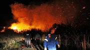 Αργολίδα: Κοντά σε κατοικίες αλλά οριοθετημένη η πυρκαγιά