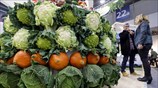 Ξεκίνησε η Fruit Logistica