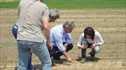 ΕΛΓΑ: Καταβάλει 2,1 εκατ. ευρώ σε 829 παραγωγούς