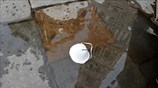 Αντανακλάσεις του ιού