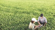 Η Interamerican «καλλιεργεί τη σιγουριά» με ολοκληρωμένη ασφαλιστική κάλυψη