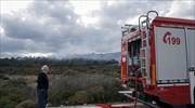 Πυρκαγιά σε εγκατάσταση ΜΚΟ στη Λέσβο