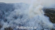 Χίος: Μάχη με τις φλόγες σε δασική έκταση