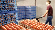Η αυξημένη κατανάλωση θέτει θέμα επάρκειας αυγών στα ράφια