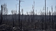 Ουκρανία: Κατασβέστηκε η πυρκαγιά κοντά στο πρώην πυρηνικό εργοστάσιο του Τσερνόμπιλ