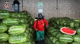 Απολυμάνσεις στη Βραζιλία