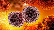 «Φρένο» στον καρκίνο, με «απενεργοποίηση» καρκινικών κυττάρων