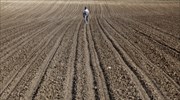 Σύμπραξη παραγωγών-καταναλωτών για αγορές προϊόντων «απευθείας από το χωράφι»