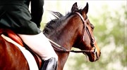 Ιππασία: Ακυρώθηκε το Athens Equestrian Festival /Athens CSIO3*-W 2020